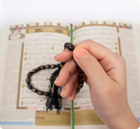 الدورات الصيفية