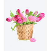 اسم المنتج